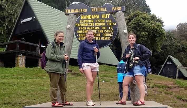 1 Day Hike Mount Kilimanjaro