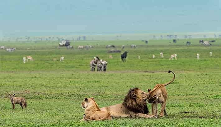 10 days safari Tanzania and Zanzibar Island