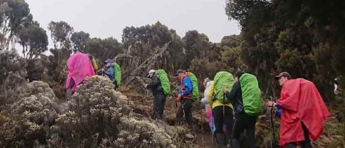 climb mount kilimanjaro tanzania