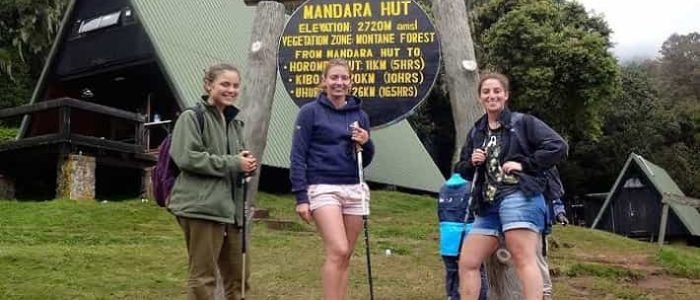 1 Day Hike Mount Kilimanjaro