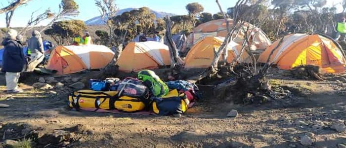 millenium camp kilimanjaro hike 1